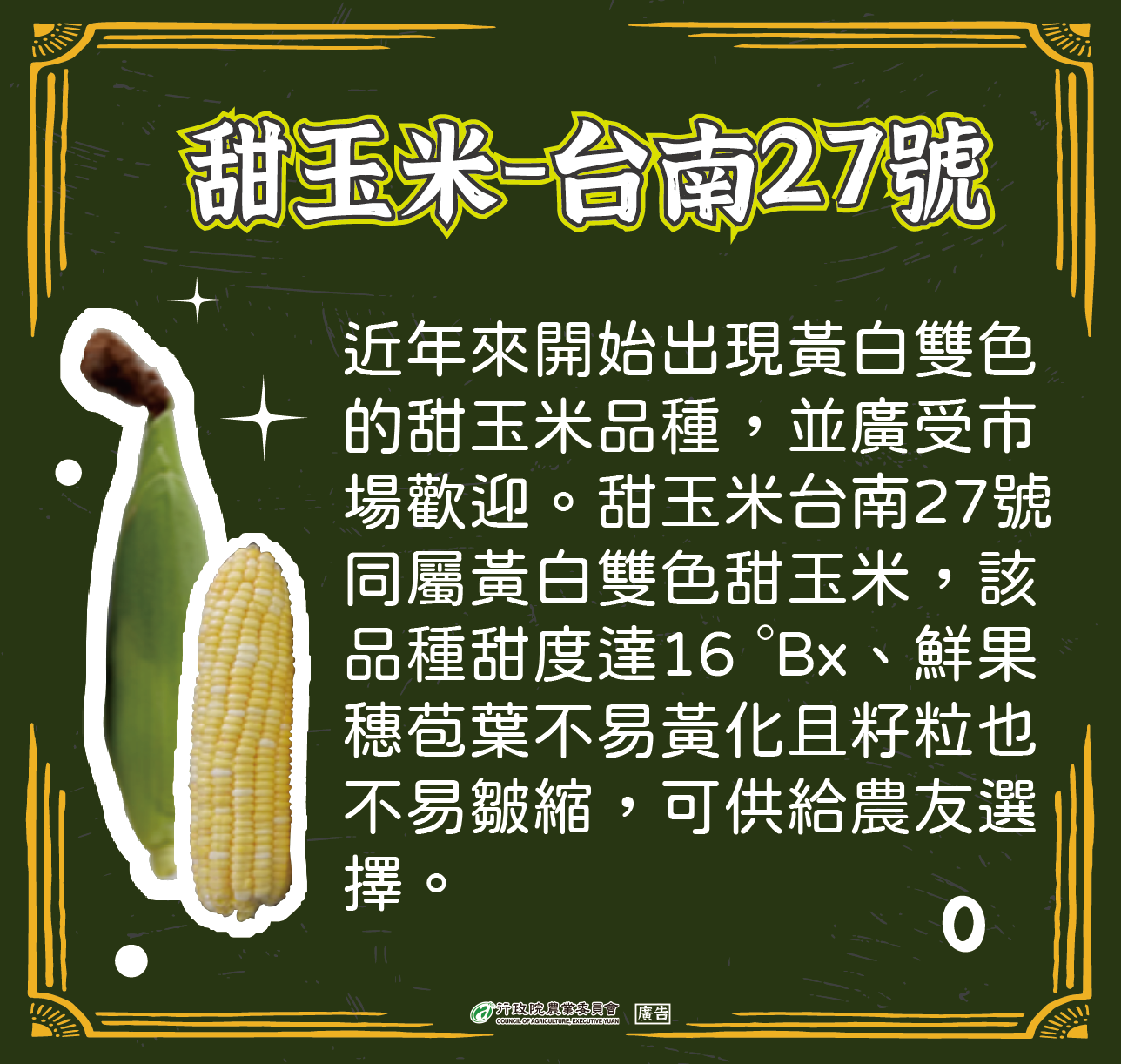 甜玉米-臺南27號