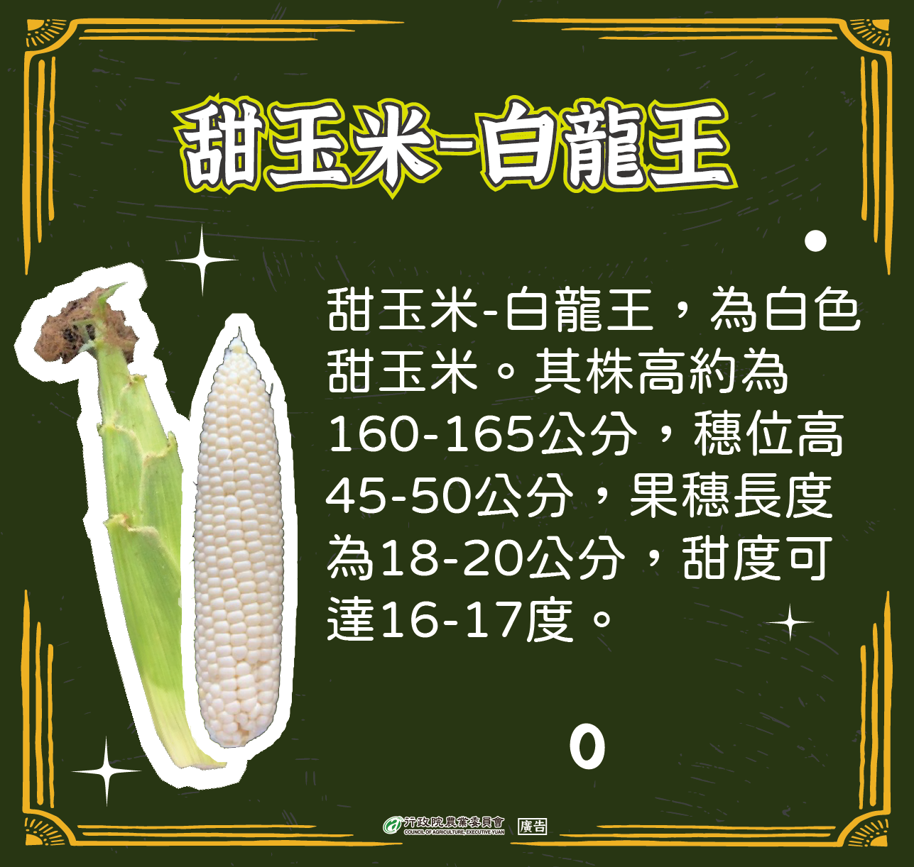 甜玉米-白龍王