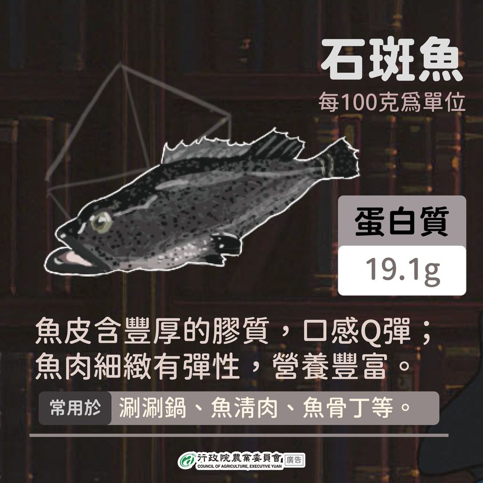 3.石斑魚